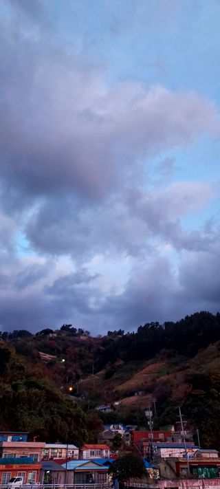 안재성님의 자유주제 · 사진전 작성글 사진