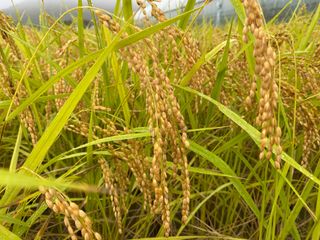 오작교농장님의 2025년, 농사계획은 어떻게 되시나요? · 참여글 작성글 사진