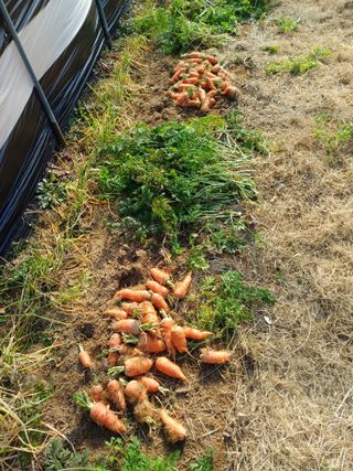 신종균님의 농업 경영체 등록 기준, 강화 vs 완화 · 참여글 작성글 사진