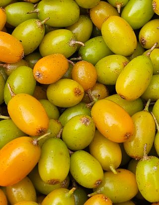 김시헌 님의 작성글 사진