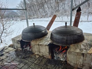 음두임님의 자유주제 · 자유게시판 작성글 사진