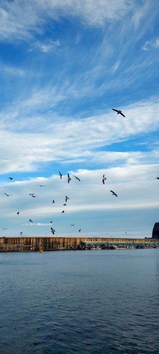 안재성님의 자유주제 · 사진전 작성글 사진