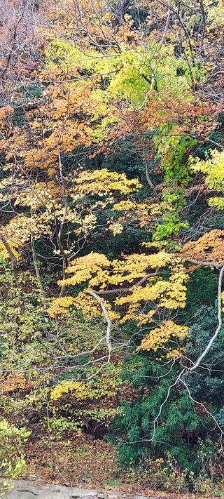 안재성님의 자유주제 · 사진전 작성글 사진