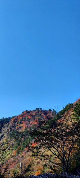 안재성님의 자유주제 · 사진전 작성글 사진