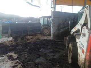 이정민님의 자유주제 · 자유게시판 작성글 사진