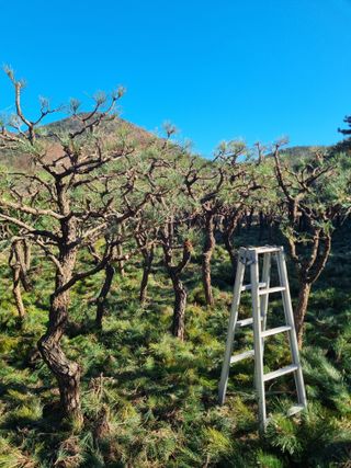 양영모님의 자유주제 · 자유게시판 작성글 사진