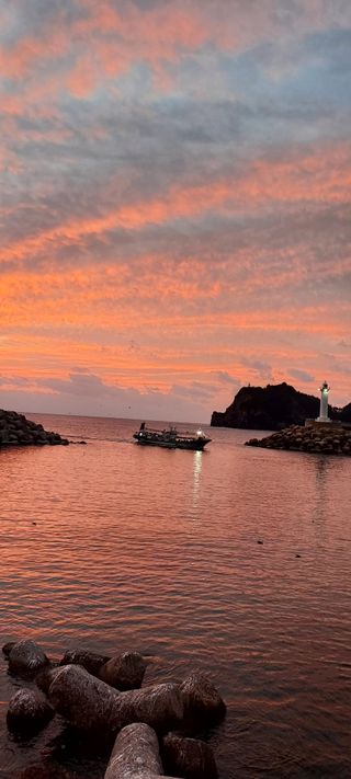 안재성님의 자유주제 · 사진전 작성글 사진