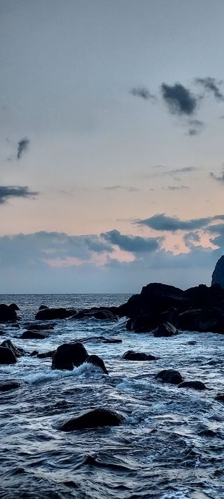 안재성님의 자유주제 · 사진전 작성글 사진