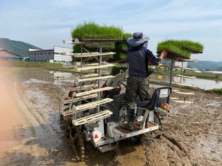 오작교농장님의 2025년, 농사계획은 어떻게 되시나요? · 참여글 작성글 사진