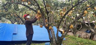 hs.jeong님의 자유주제 · 자유게시판 작성글 사진