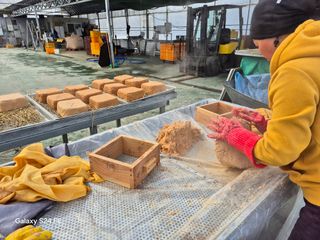 음두임님의 자유주제 · 자유게시판 작성글 사진