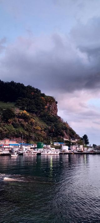 안재성님의 자유주제 · 사진전 작성글 사진