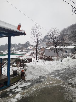 최유진님의 자유주제 · 자유게시판 작성글 사진