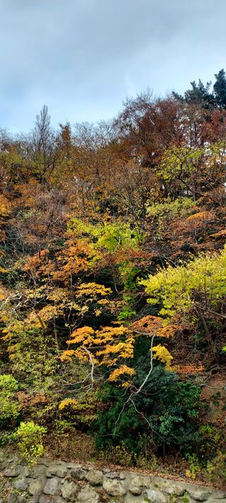 안재성님의 자유주제 · 사진전 작성글 사진