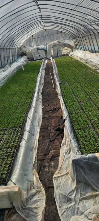 강성분님의 2025년, 농사계획은 어떻게 되시나요? · 참여글 작성글 사진