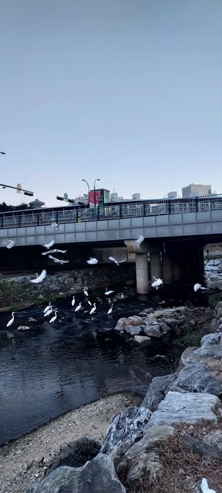 안재성님의 자유주제 · 사진전 작성글 사진