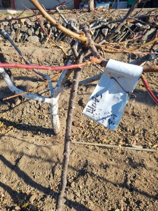 김용대님의 자유주제 · 자유게시판 작성글 사진