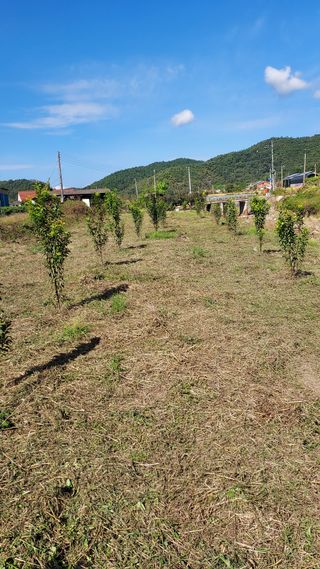 윤성수님의 농업 경영체 등록 기준, 강화 vs 완화 · 참여글 작성글 사진