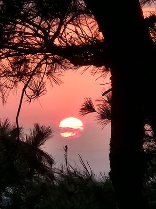 안산제일농약사님의 자유주제 · 자유게시판 작성글 사진