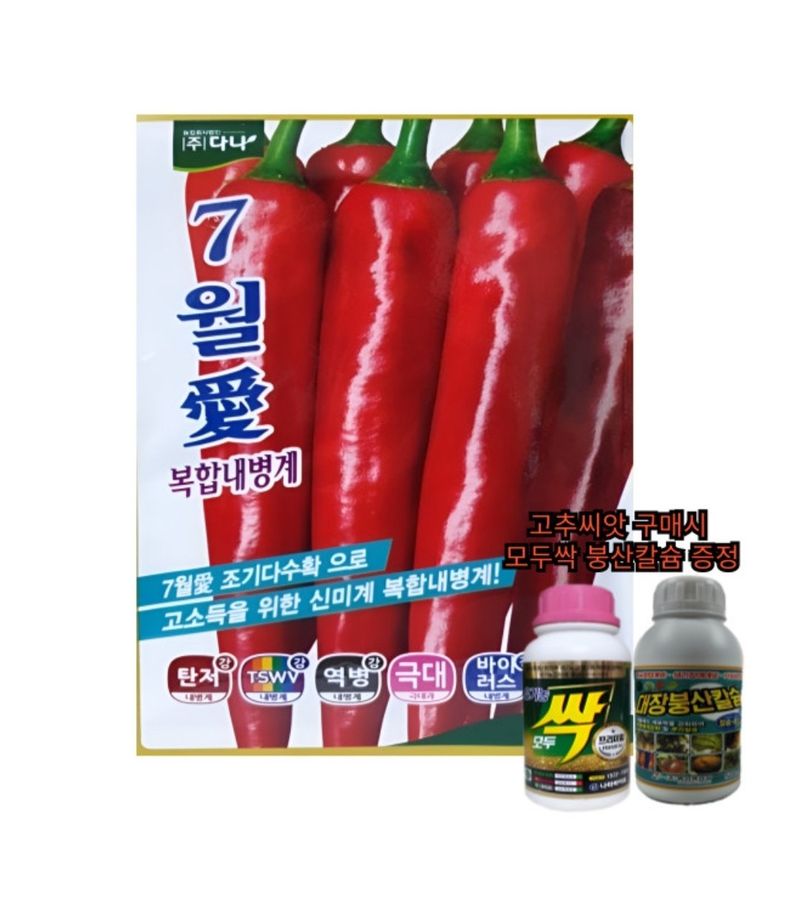 장터 상품 [7월애 1200립 고추 종자 고추 씨앗 극대과 조생종 매운맛 조기수확] 썸네일