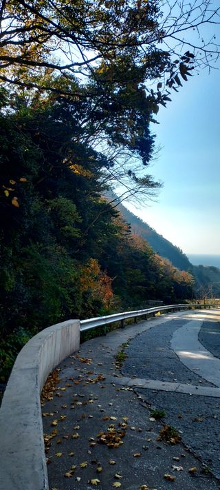 안재성님의 자유주제 · 사진전 작성글 사진