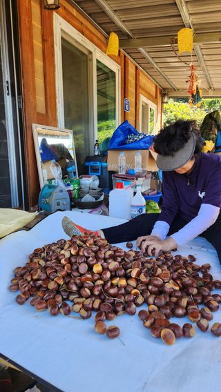 사과6329님의 2025년, 농사계획은 어떻게 되시나요? · 참여글 작성글 사진