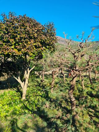 양영모님의 자유주제 · 자유게시판 작성글 사진