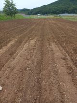 팜모닝 농업 경영체 등록 기준, 강화 vs 완화·참여글 게시글 이미지