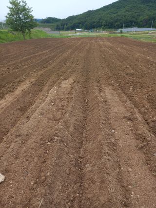 은행5k35000원님의 농업 경영체 등록 기준, 강화 vs 완화 · 참여글 작성글 사진