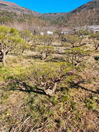 양영모님의 자유주제 · 자유게시판 작성글 사진