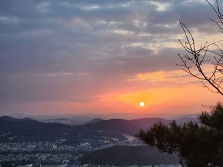안산제일농약사님의 자유주제 · 자유게시판 작성글 사진
