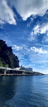 팜모닝 자유주제·사진전 게시글 이미지