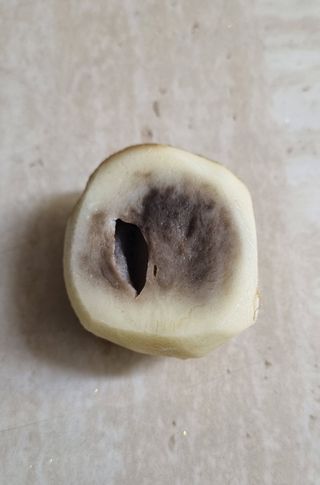 이선범님의 자유주제 · 자유게시판 작성글 사진