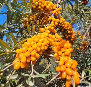 김시헌 님의 작성글 사진