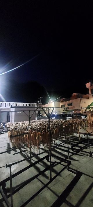 안재성님의 자유주제 · 사진전 작성글 사진