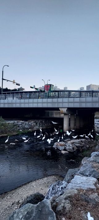 안재성님의 자유주제 · 사진전 작성글 사진