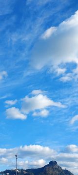 팜모닝 자유주제·사진전 게시글 이미지