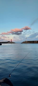 팜모닝 자유주제·사진전 게시글 이미지