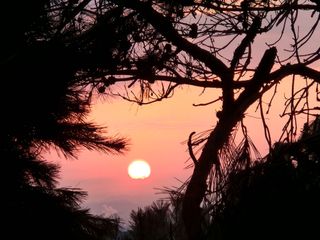 안산제일농약사님의 자유주제 · 자유게시판 작성글 사진