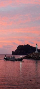 팜모닝 자유주제·사진전 게시글 이미지