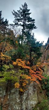 팜모닝 자유주제·사진전 게시글 이미지