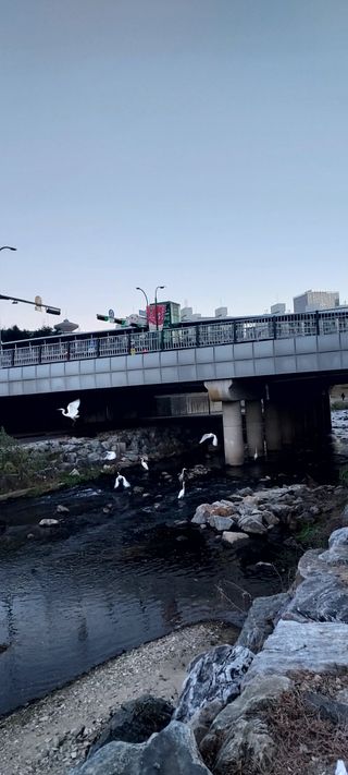 안재성님의 자유주제 · 사진전 작성글 사진