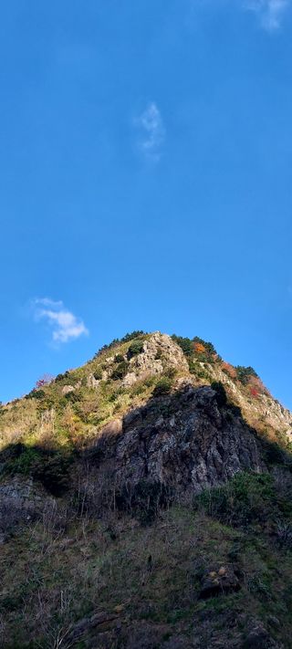 안재성님의 자유주제 · 사진전 작성글 사진