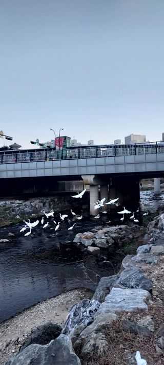 안재성님의 자유주제 · 사진전 작성글 사진