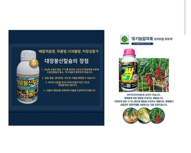 대산농사대장님의 장터 판매 상품 [AI칼탄 복합내병계 현대종묘] 첨부 사진