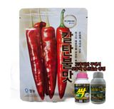 팜모닝 · 게시글 이미지