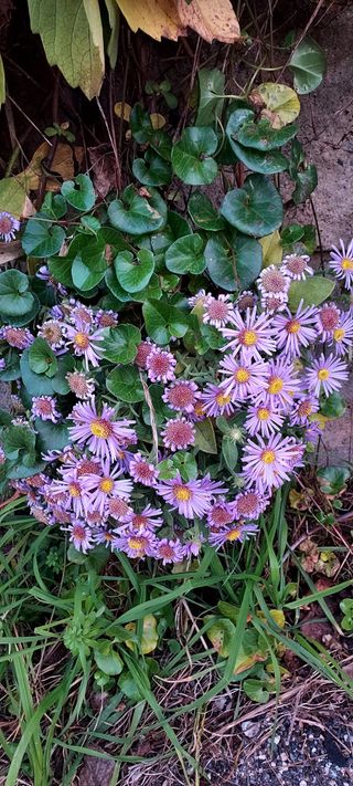 안재성님의 자유주제 · 사진전 작성글 사진