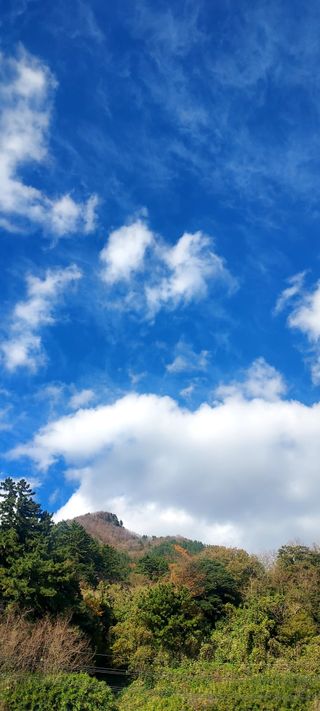 안재성님의 자유주제 · 사진전 작성글 사진