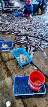 팜모닝 자유주제·사진전 게시글 이미지