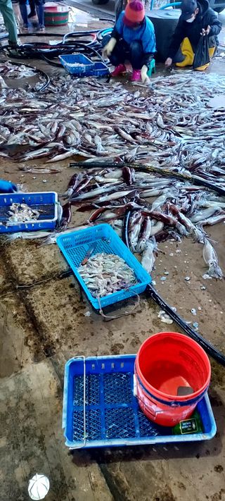 안재성님의 자유주제 · 사진전 작성글 사진